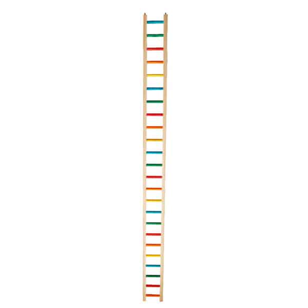 ZOO-MAX 900-5 5' Ladder