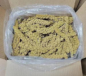 Living world  Spray Millet 5lb