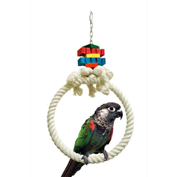 Zoo Max 962 Cereau Hoop 10"