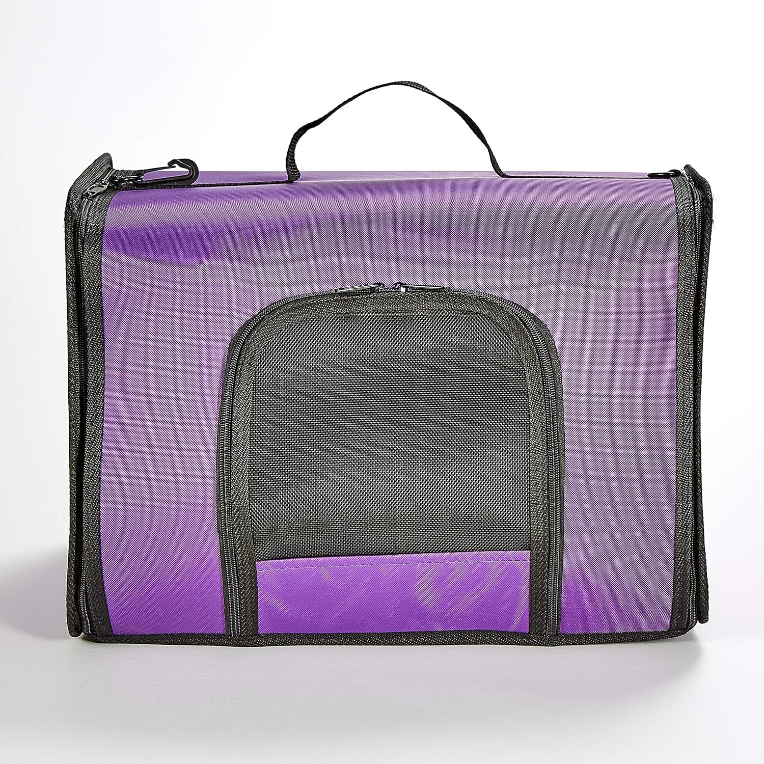 Kaytee Come Along Pet Carrier Large