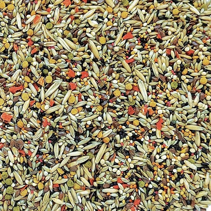 Hagen Gourmet Canary 2.2lb