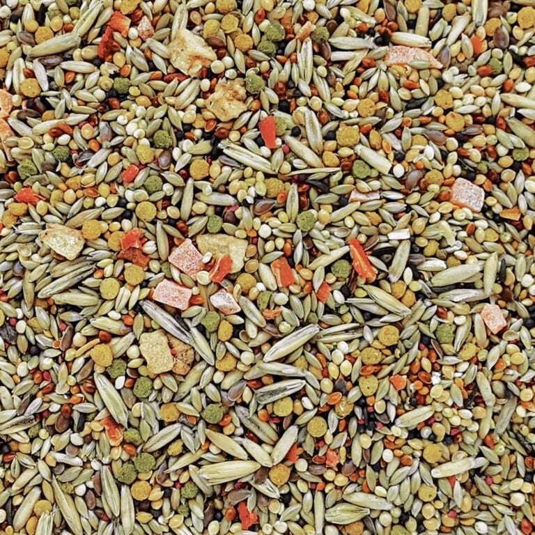 Hagen B2791 Gourmet Premium Seed  2.2lb