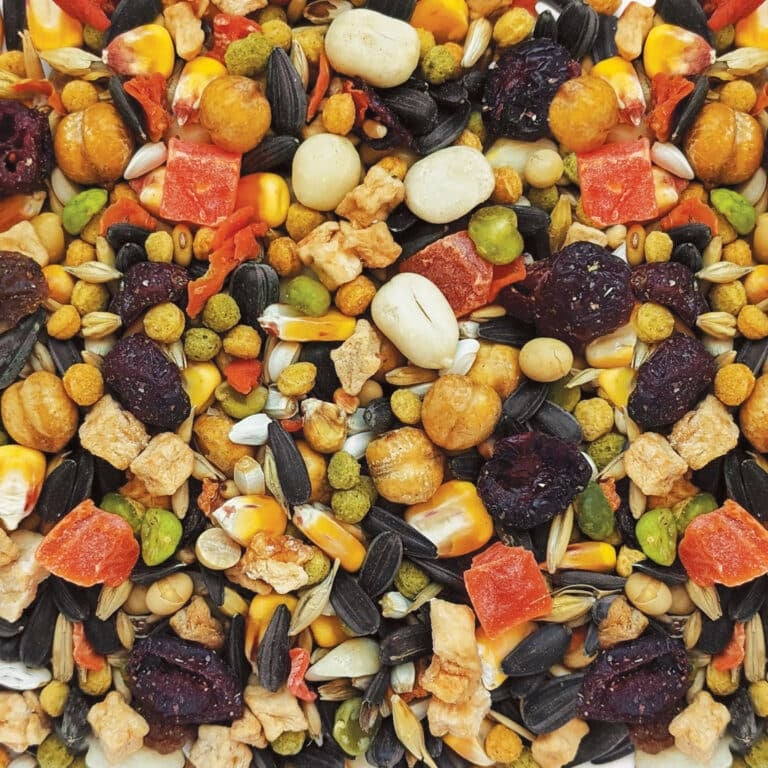 Hagen B2813 Gourmet  Premium Seed Blend for Parrots