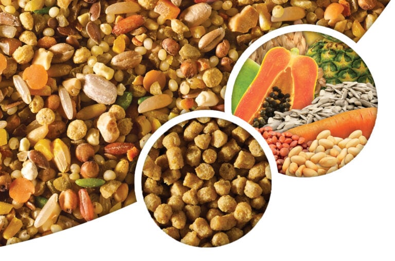Hagen Tropimix 80630 Enrichment Food For Cockatiels And Love Birds 2lbs
