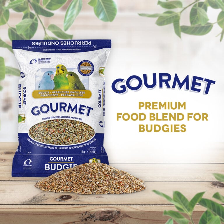 Hagen B2791 Gourmet Premium Seed  2.2lb