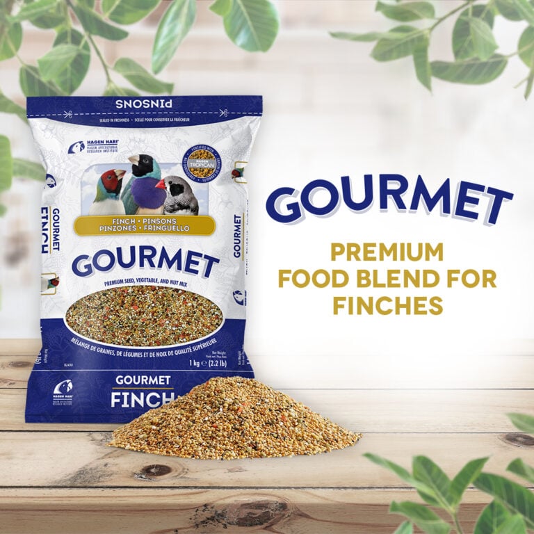 Hagen B2430 Gourmet  Premium Seed Blend for Finches