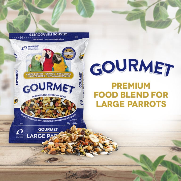 Hagen B2821 Gourmet  Premium Seed Blend for Large Parrots