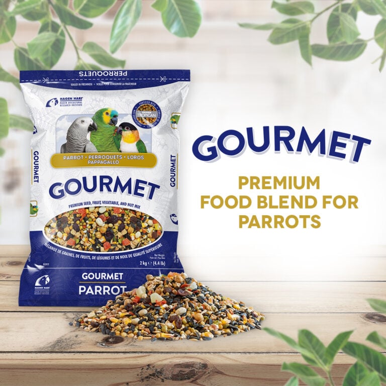 Hagen B2813 Gourmet  Premium Seed Blend for Parrots