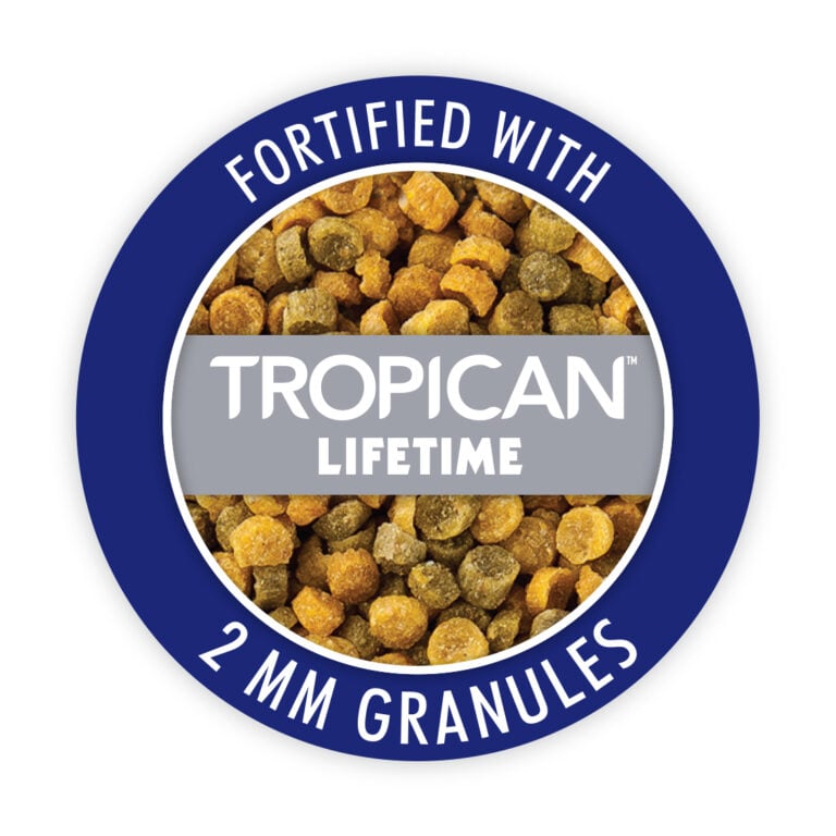 Hagen B2807 Gourmet  Premium Seed Blend for Cockatiels & Small Hookbills