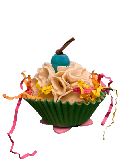A&E Hb01514 Sweet Tweets Cupcake Foot Toy