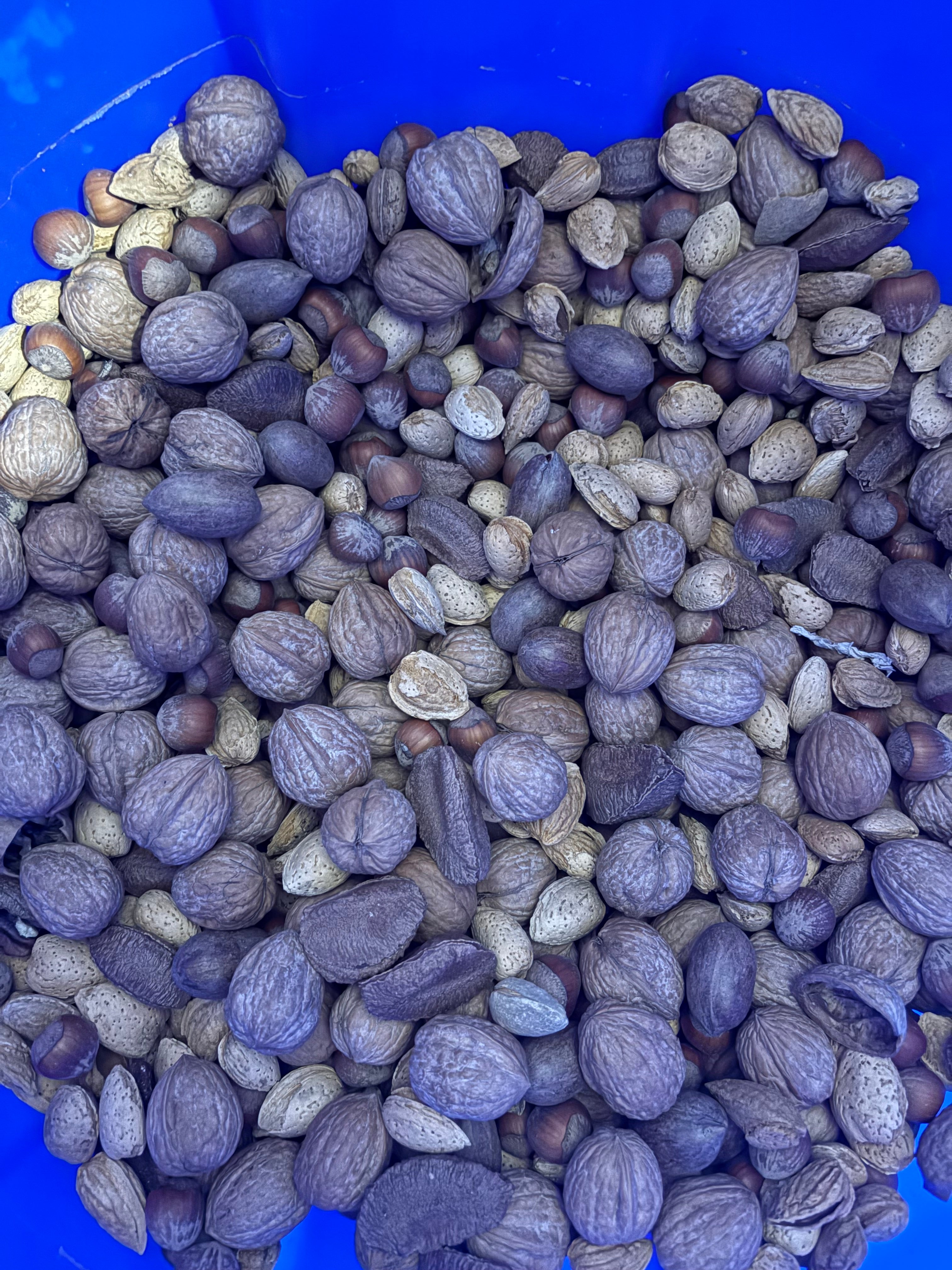 Whole Shelled Mixed Nuts-Bulk 1lb