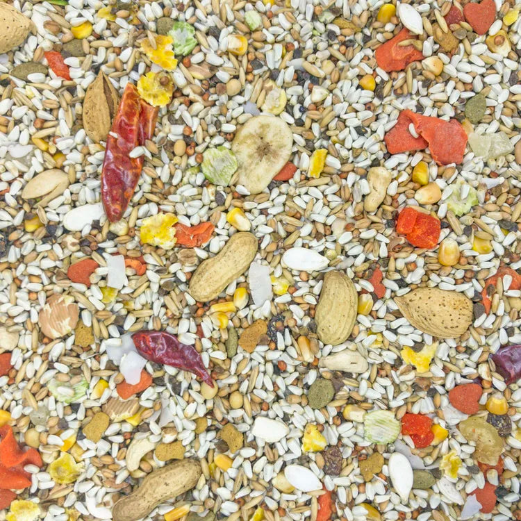 Higgins 30121 Safflower Gold Parrot 3lb