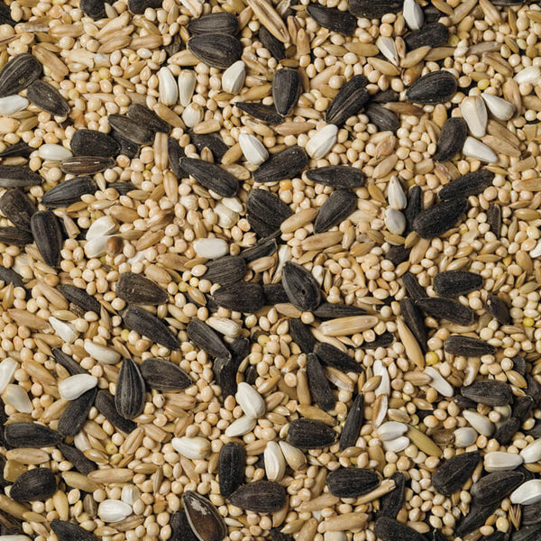 Scarlett Naturals Cockatiel Seed