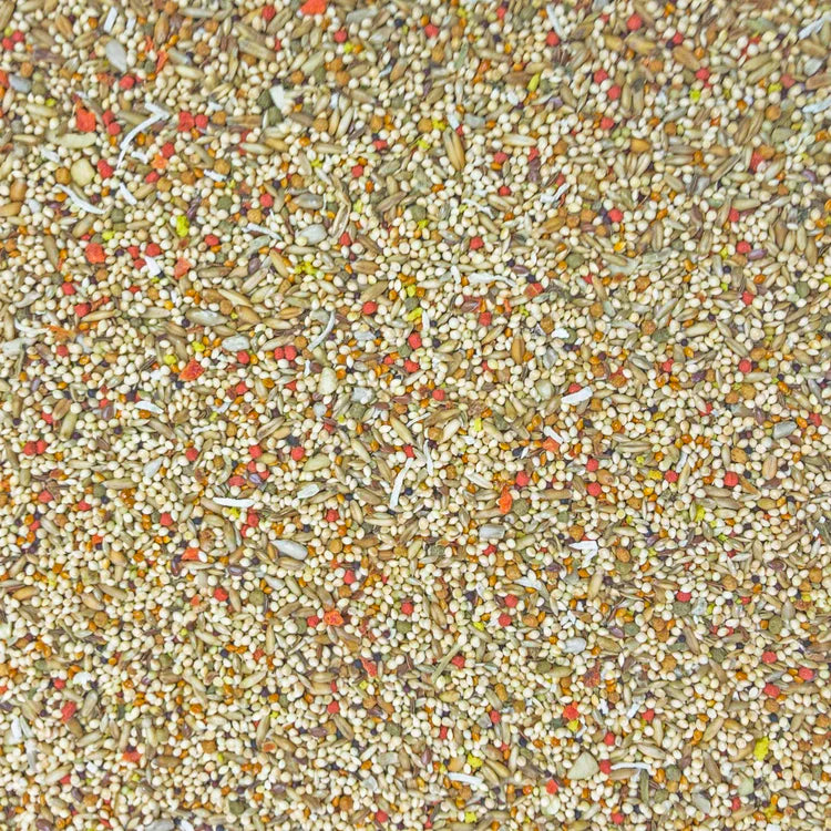 Higgins 30228 Sunburst Parakeet 2lb