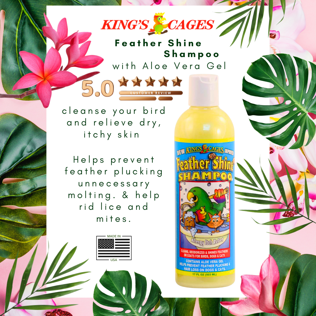 Kings cage Feather Shine Shampoo 17oz