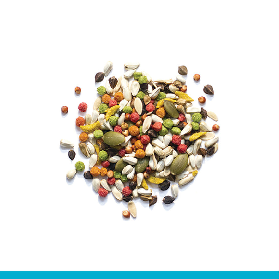 Zupreem Sensible Seed Cockatiel 2lb