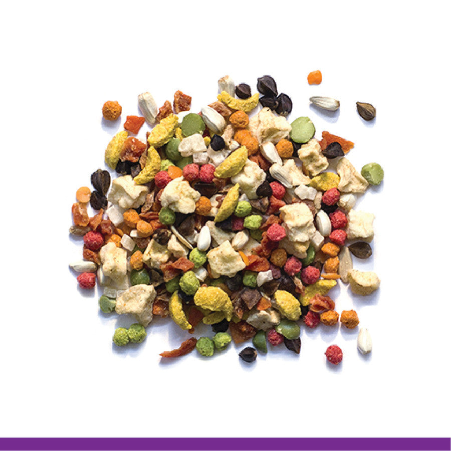 Zupreem  Pure Fun Medium 2lb