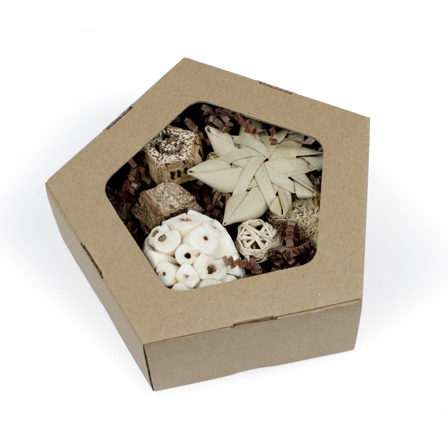 Prevue Hendrix 11050 Pentagon Forage N Play Box