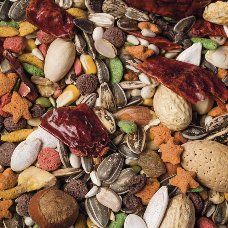 Scarlett Mardi Gras Parrot Bird Food