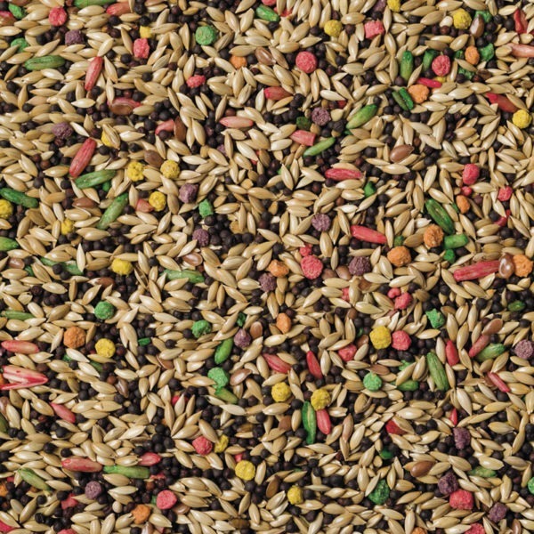 Scarlett Nutra Canary Bird Food