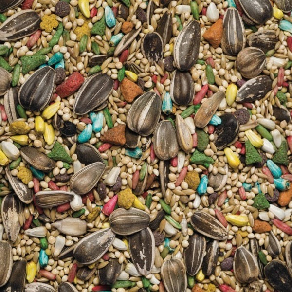Scarlett Nutra Cockatiel Bird Food