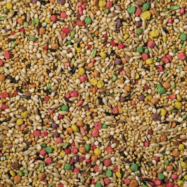 Scarlett Nutra Finch Bird Food