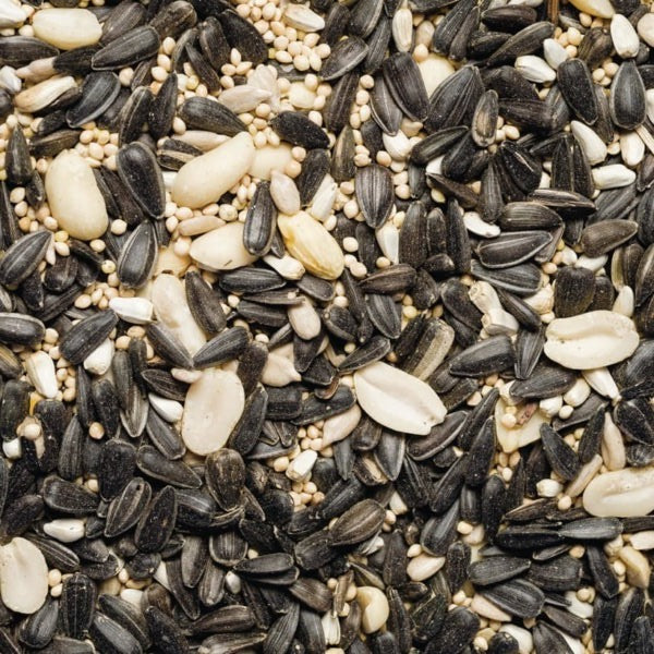Scarlett Ultimate Wild Bird Food