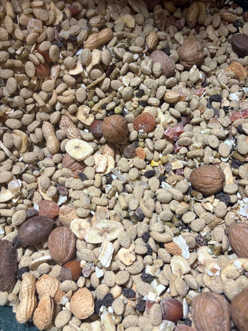 Mega Mix Nut Blend for Large Parrots