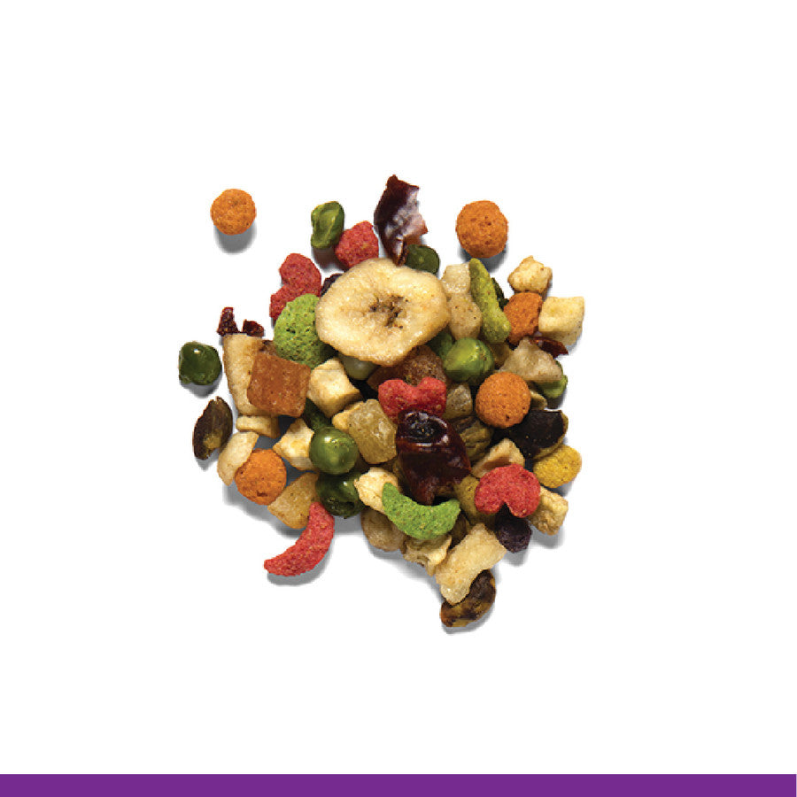 Zupreem Pure Fun Parrot & Conure 2lb