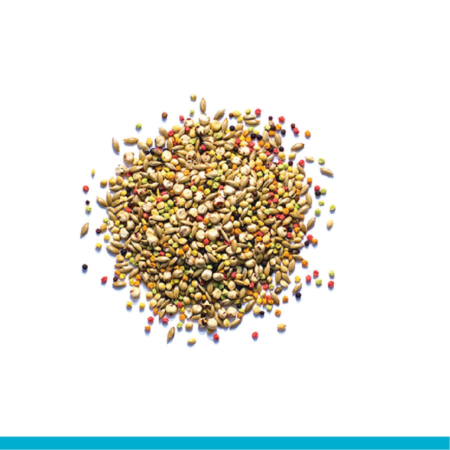 Zupreem 87545020 Sensible Seed small bird 2lb