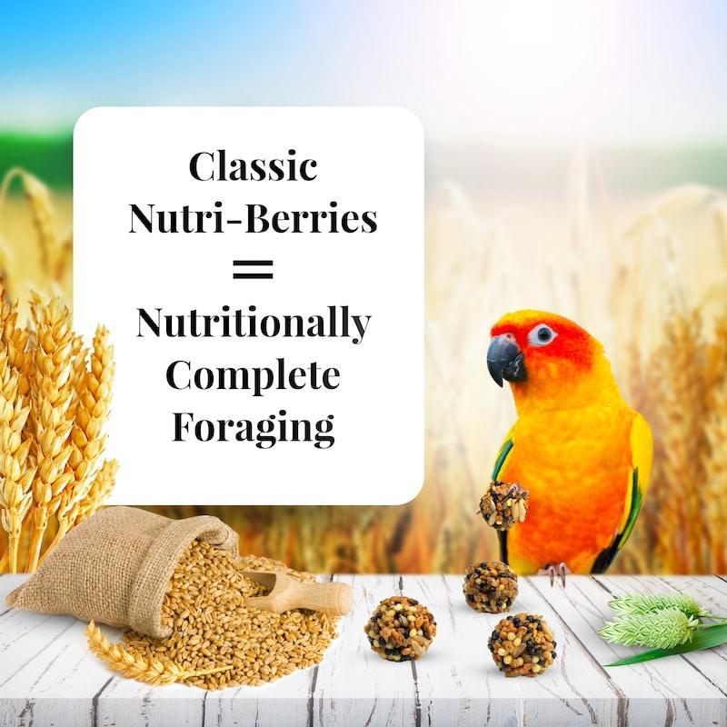 Lafeber's Classic Nutri-Berries Conure Food