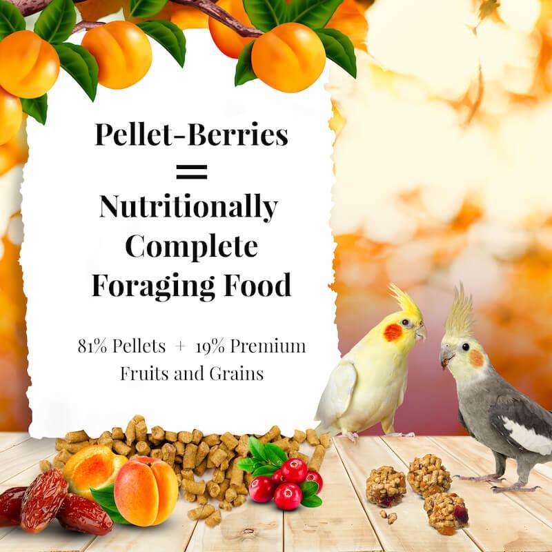 Lafeber's Sunny Orchard Pellet-Berries Cockatiel Food