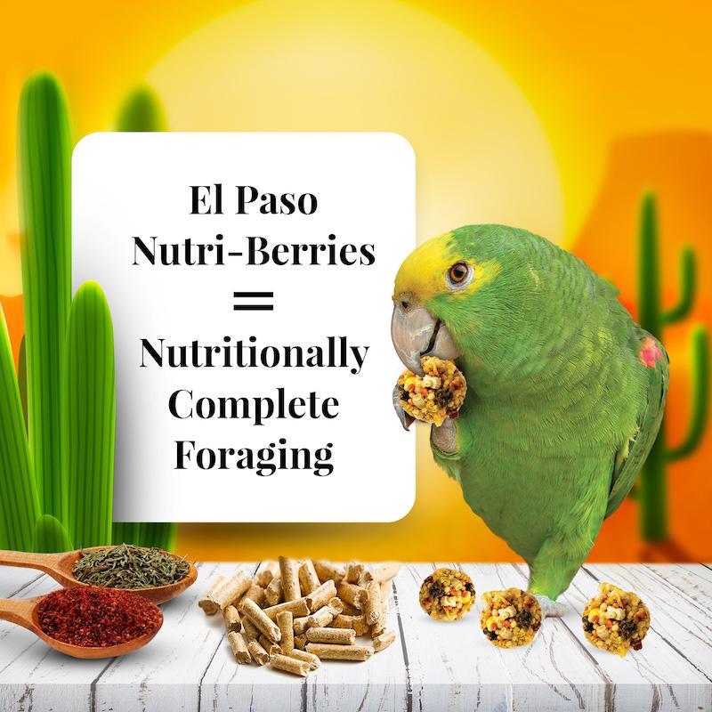 Lafeber's El Paso Nutri-Berries Parrot Food
