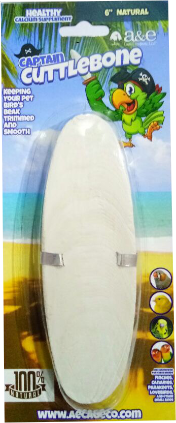 A&E AE9005 6" Natural Cuttlebone