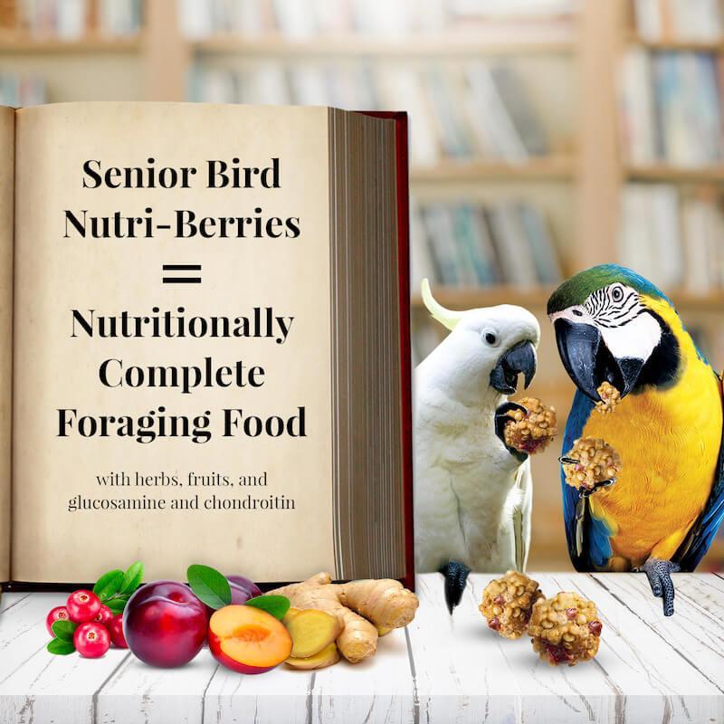 Lafeber's Senior Bird Nutri-Berries Macaw & Cockatoo Food