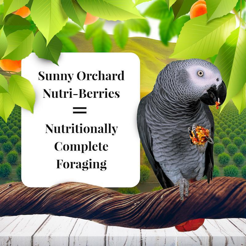 Lafeber's Sunny Orchard Nutri-Berries Parrot Food