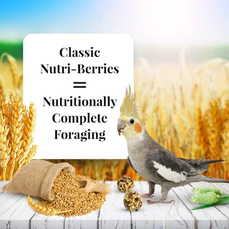 Lafeber's Classic Nutri-Berries Cockatiel Food