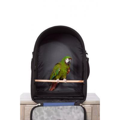 Prevue Backpack Bird Travel Carrier 1311