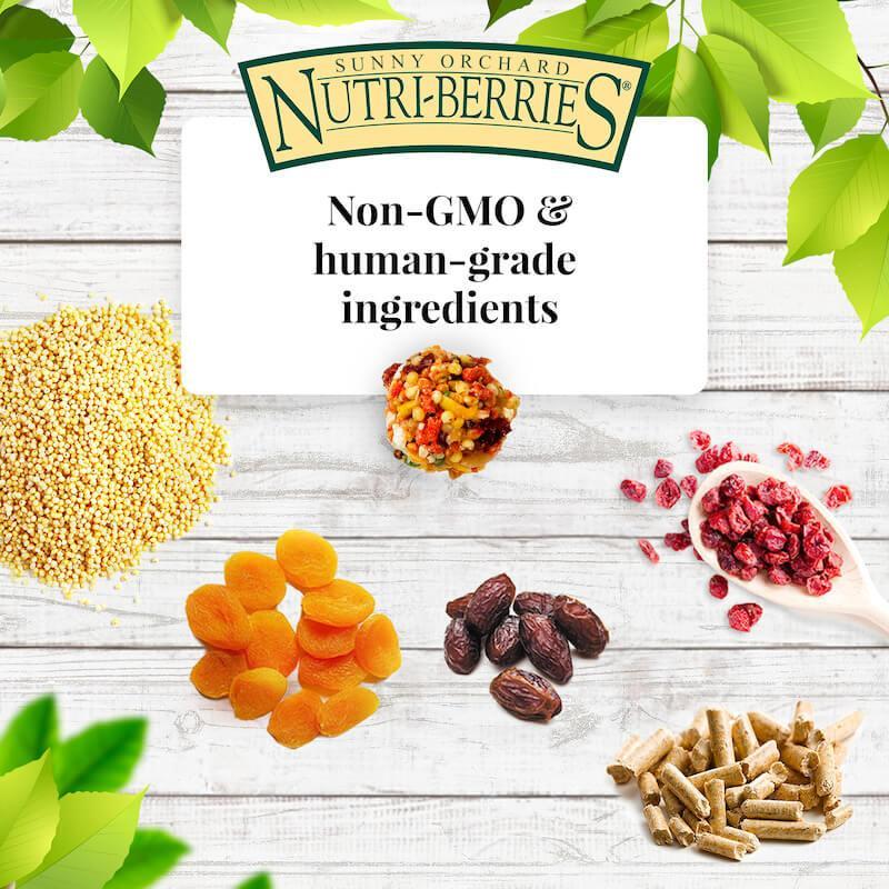 Lafeber's Sunny Orchard Nutri-Berries Parrot Food