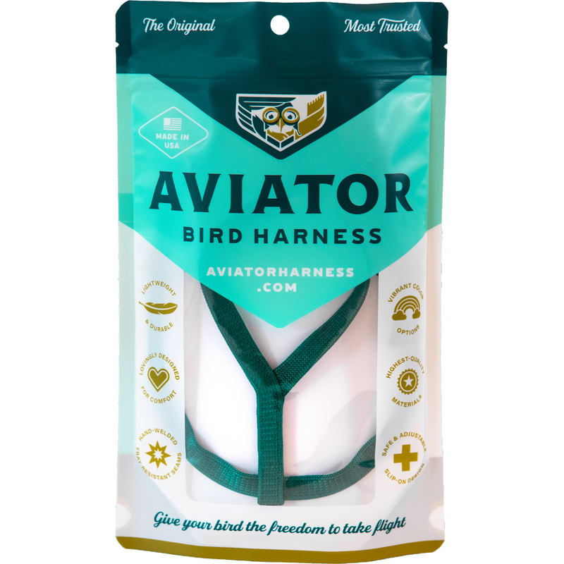 Aviator Bird Harness and Leash, Medium