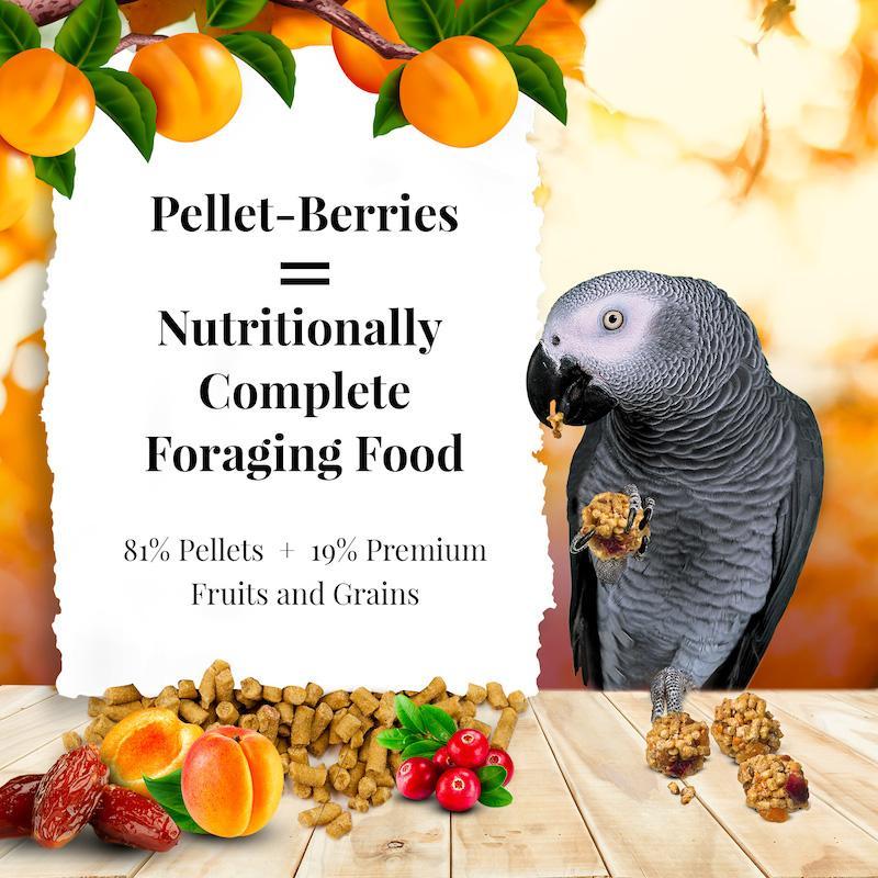 Lafeber's Sunny Orchard Pellet-Berries Parrot Food