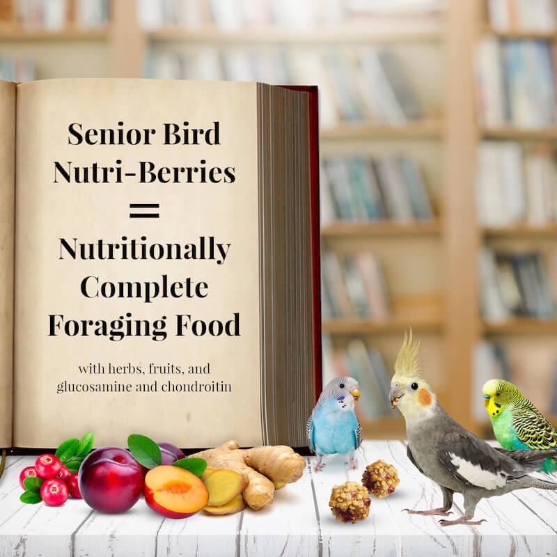 Lafeber's Senior Bird Nutri-Berries Parakeet & Cockatiel FoodLafeber's Senior Bird Nutri-Berries Parakeet & Cockatiel Food